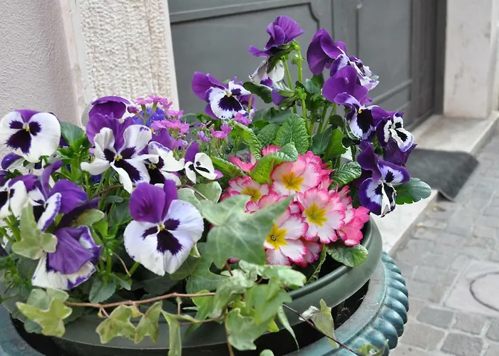 בית הארחה Bardoliners ברדולינו