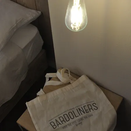 招待所 Bardoliners 巴多利诺