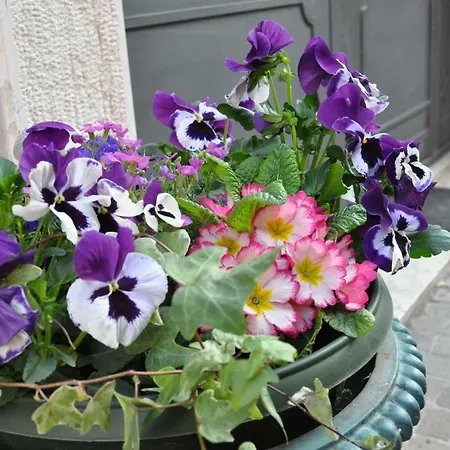 招待所 Bardoliners 巴多利诺